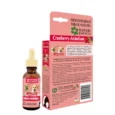 P & C ESENCIA CRANBERRY-ARANDANO LETS GO FCOX25 ML-1