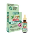 P & C ESENCIA ECHINACEA LETS GO FRASCO x 25 ML-1