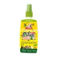 P & C FRESHLY CATNIP FCO 120 ML-1