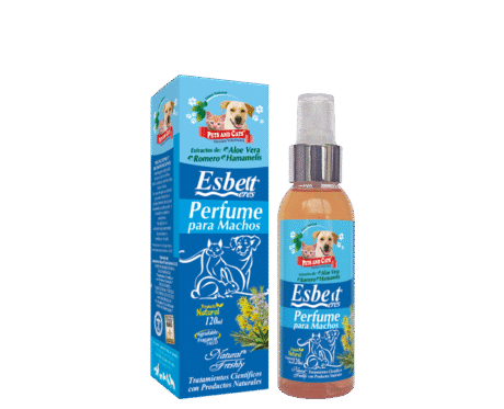 <span class="highlight-prefix">Producto natural dermocosmética:</span> P & C Perfume Machos Esbelt, frasco de 120 ml.